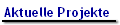 Aktuelle Projekte